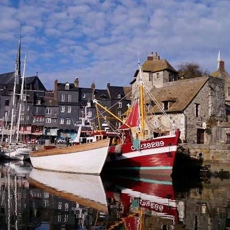 Les Mouettes Du Port Daire Honfleur Dış mekan fotoğraf