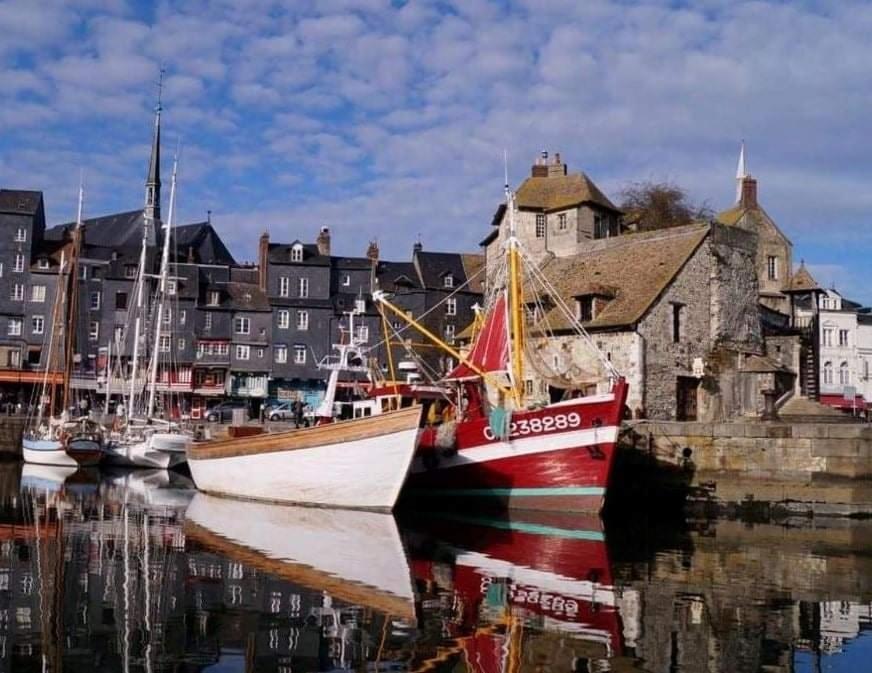 Les Mouettes Du Port Daire Honfleur Dış mekan fotoğraf